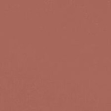 BEIGE ROSE