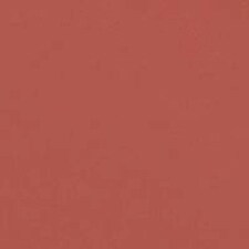 NUDE BRUN
