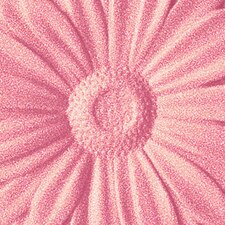 Petal Pop Petal Pop