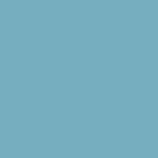 Teal Appeal