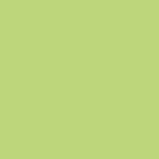 Matcha Matcha