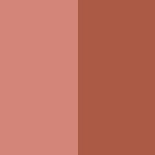 RUSTED PINK AND CINNAMON