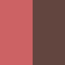 BRONZE PINK AND ESPRESSO