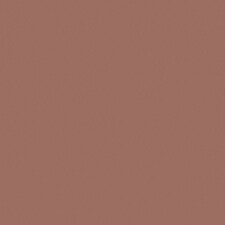Oyster Pearl