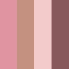 Pink Coral Shells