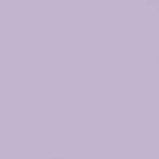 Deep Sea Amethyst Deep Sea Amethyst