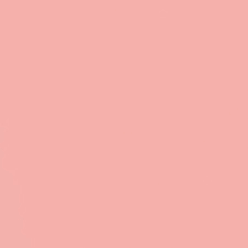 Sunkissed Coral Sunkissed Coral