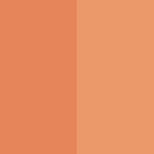 Pumpkin Spice Latte