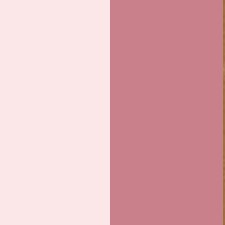 EYE COLOR DUO-LOVERS