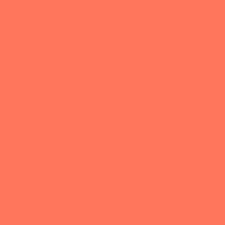 32 Orange Tulipe 