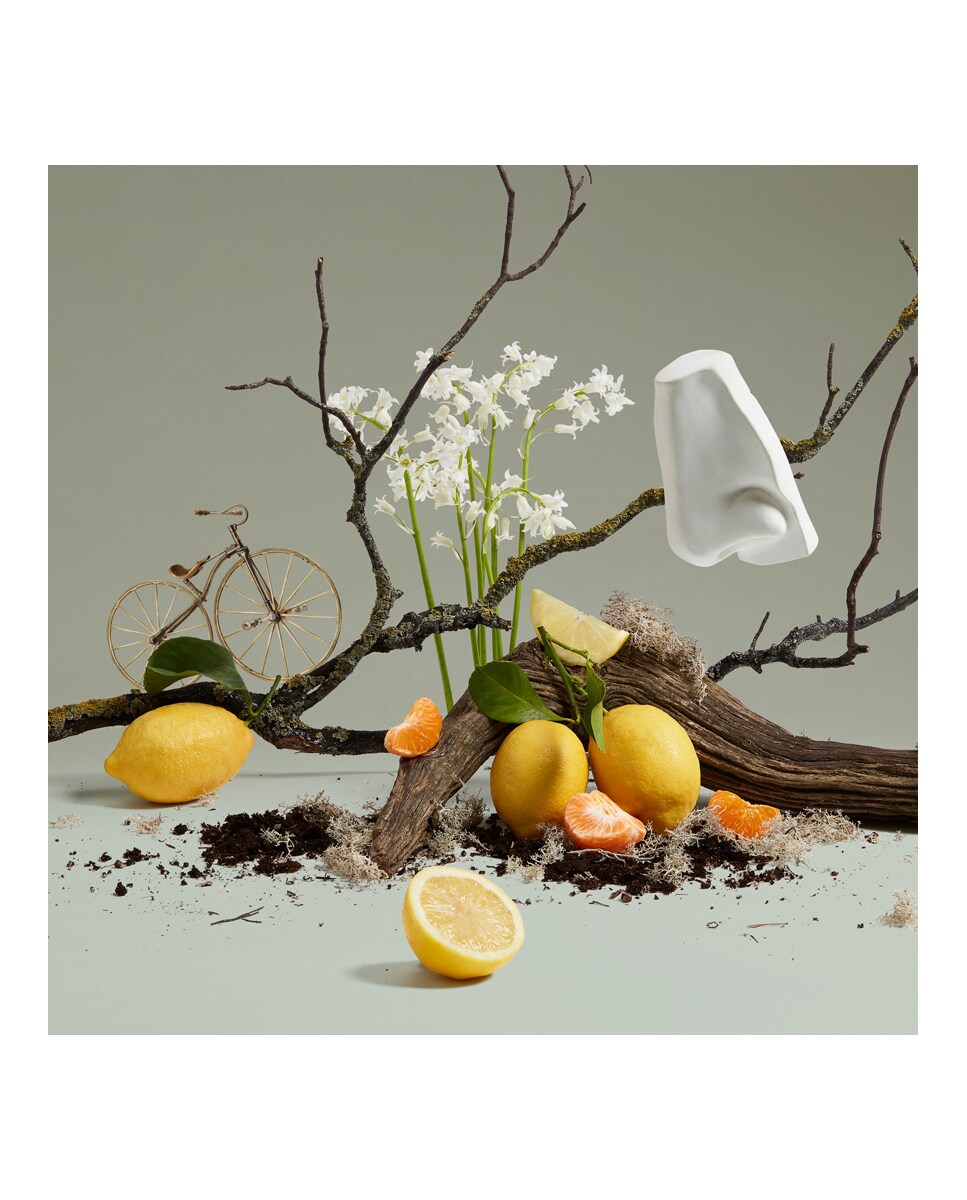 Loción de manos y cuerpo Quercus 500 ml Penhaligon's 3