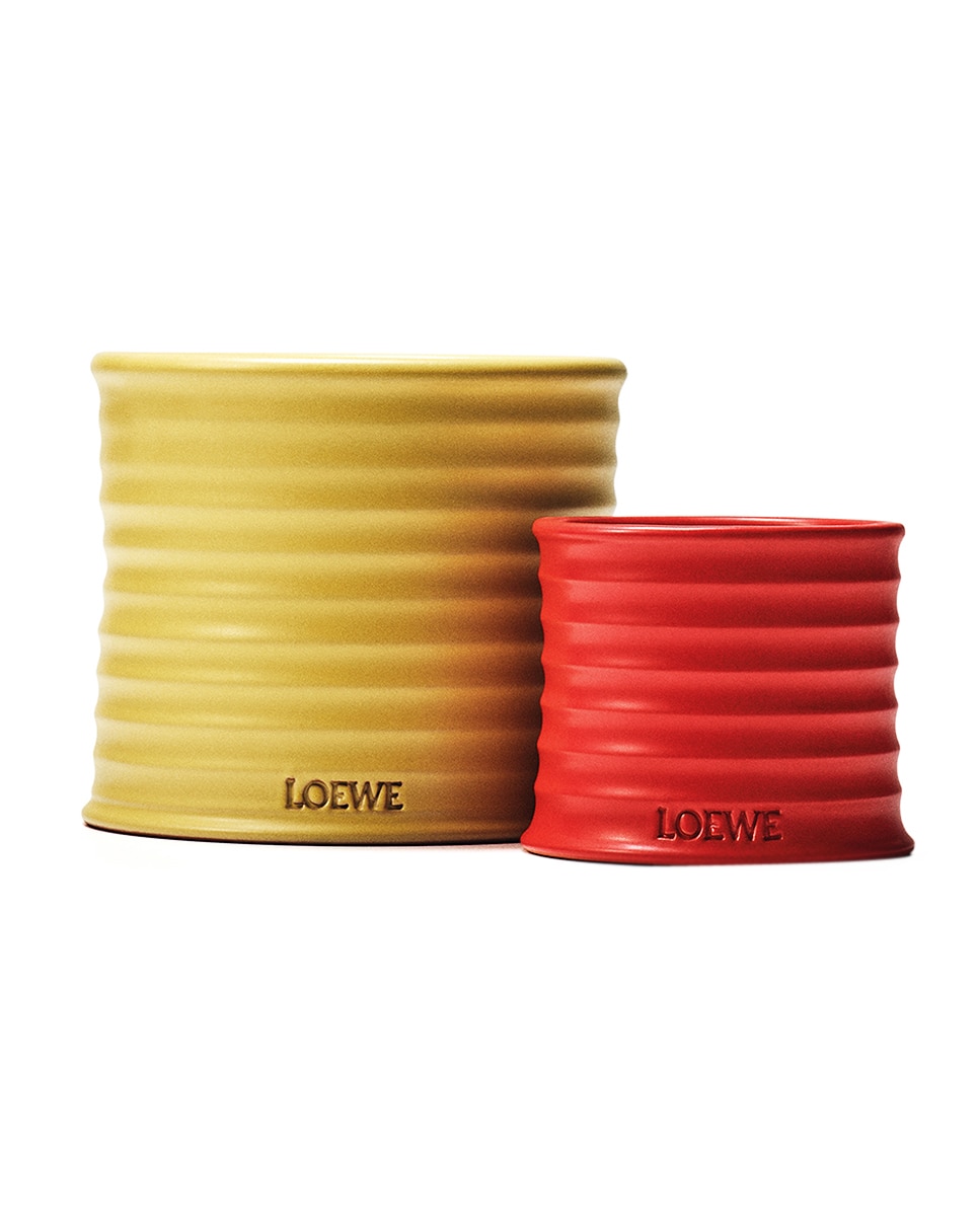Vela Aromática Honeysuckle Loewe - Pequeña 4