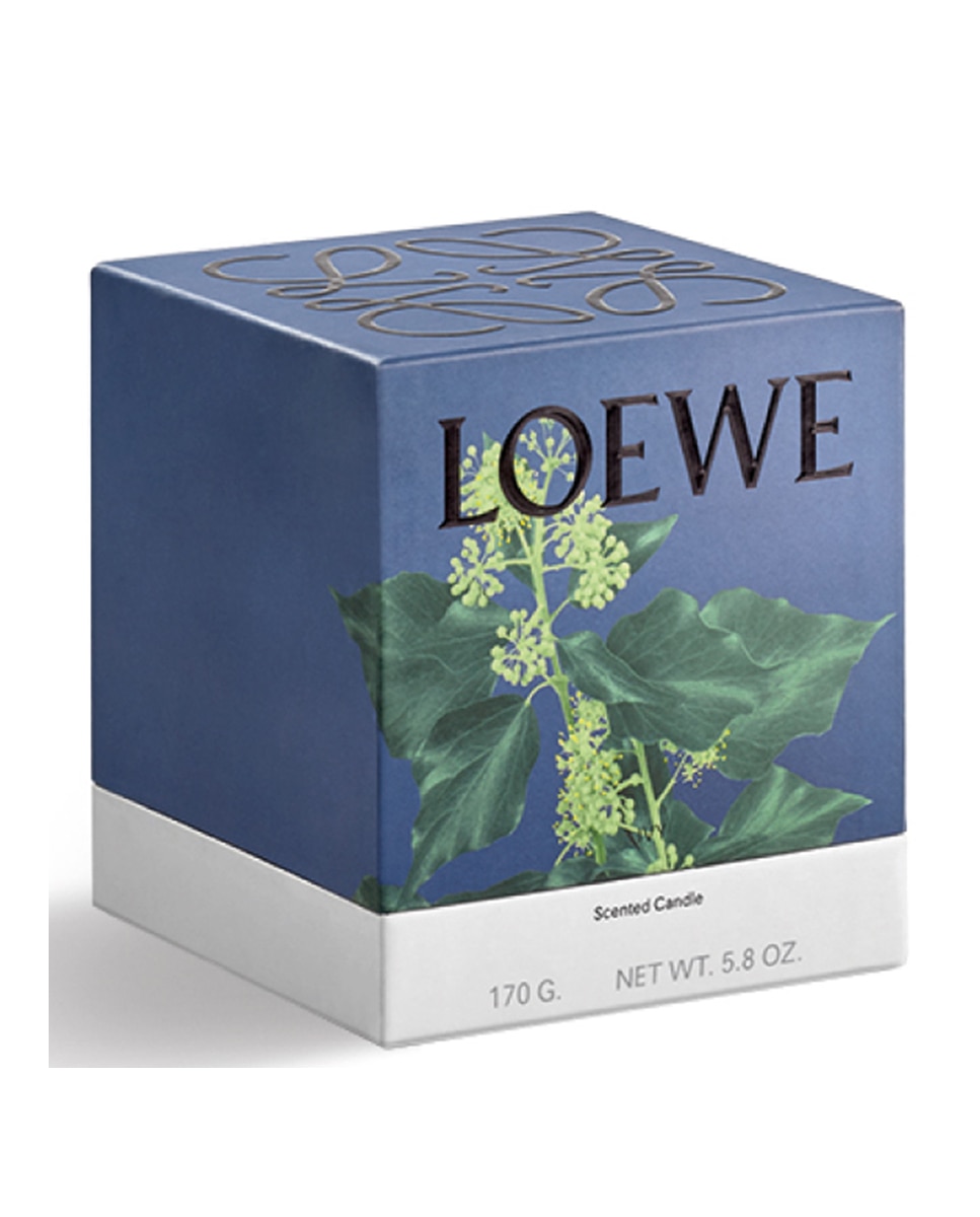 Imagen 2 de Vela Aromática Ivy Loewe - Grande