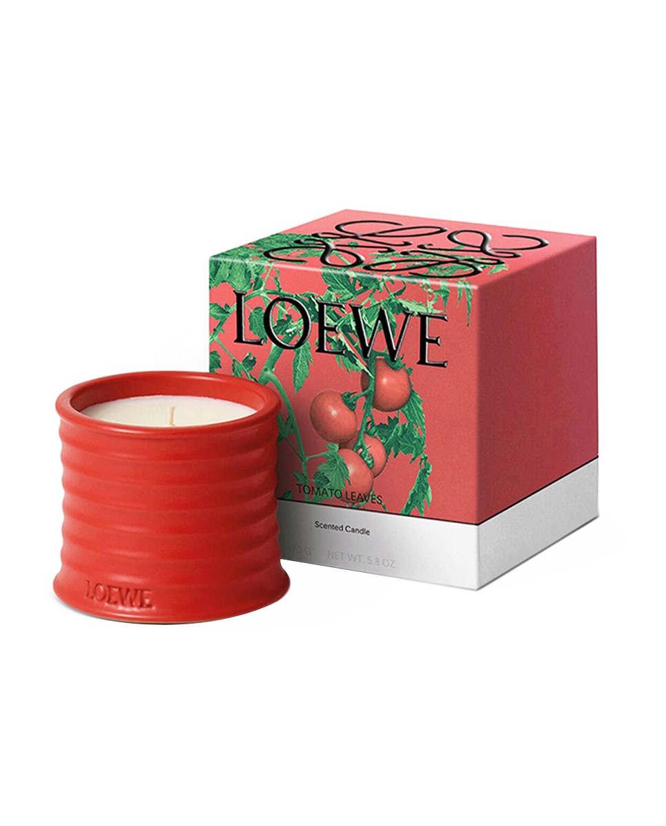 Vela Aromática Tomato Leaves Loewe - Grande 2