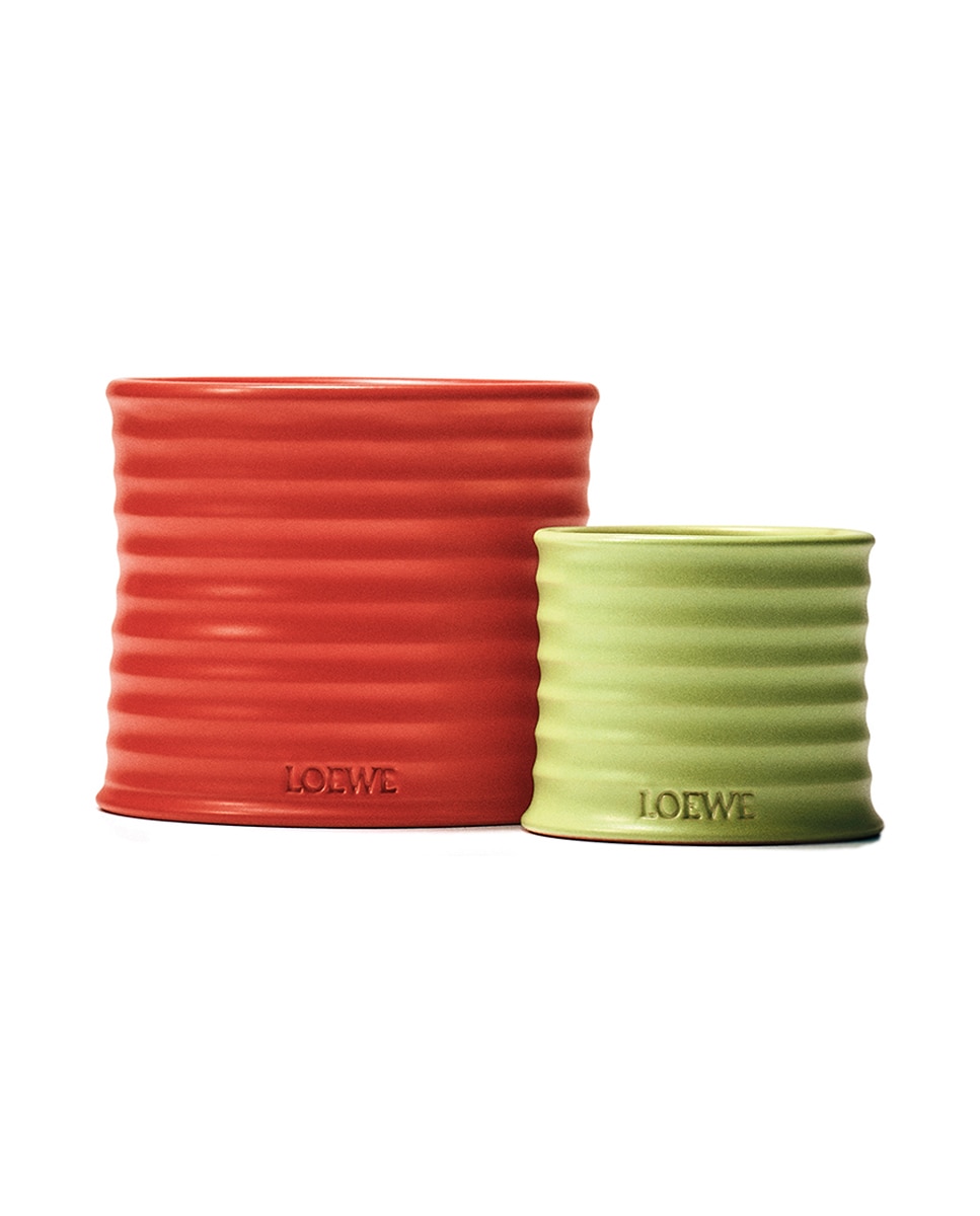 Vela Aromática Tomato Leaves Loewe - Grande 4