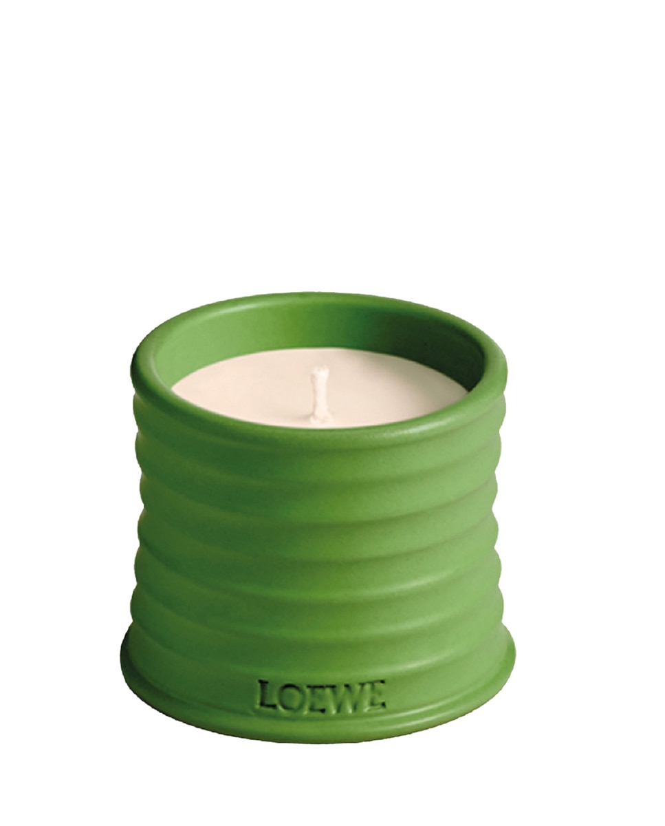 Vela perfumada Home Scents Luscious Pea S Loewe 170 g · El Corte