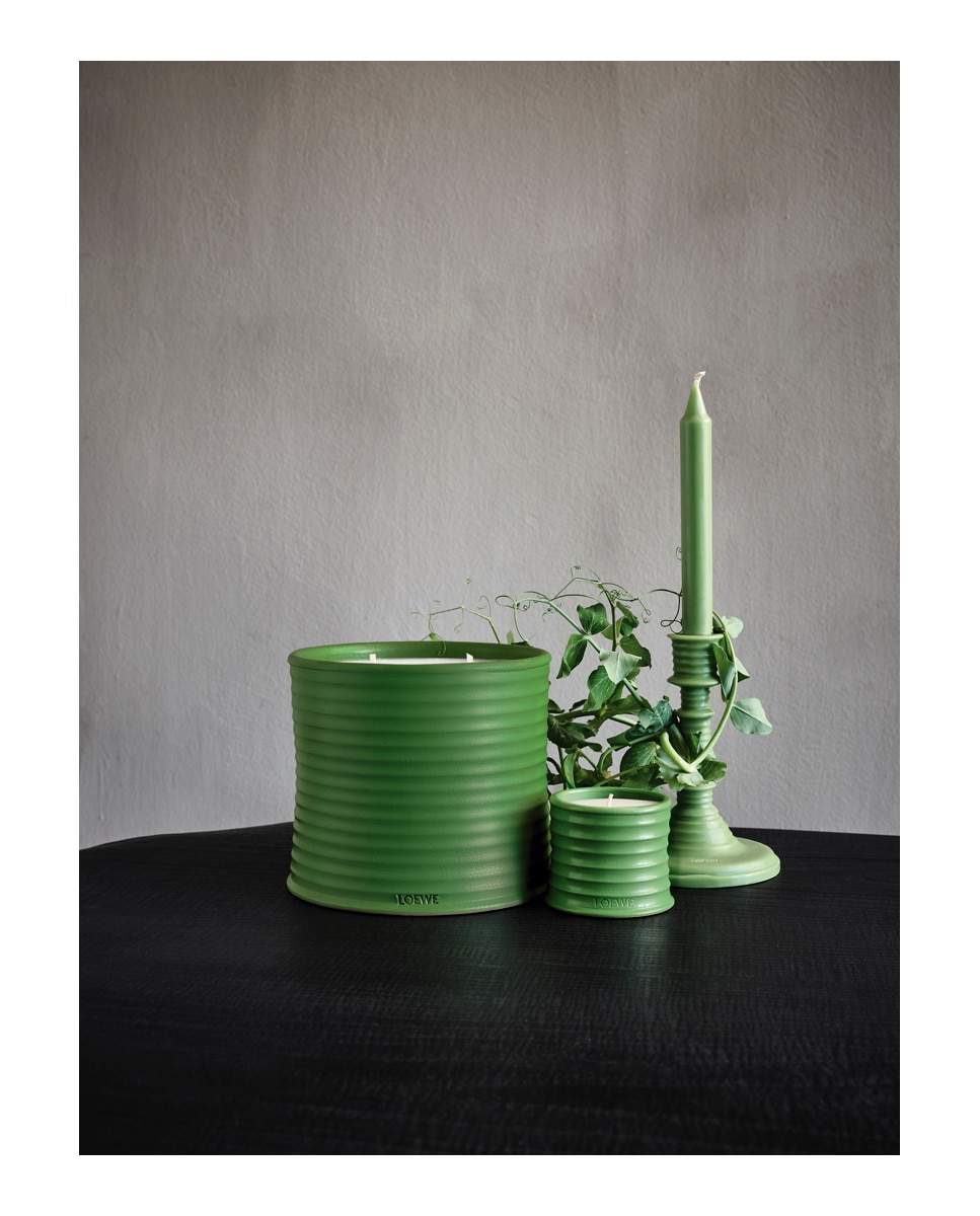 Vela perfumada Home Scents Luscious Pea S Loewe 170 g · El Corte
