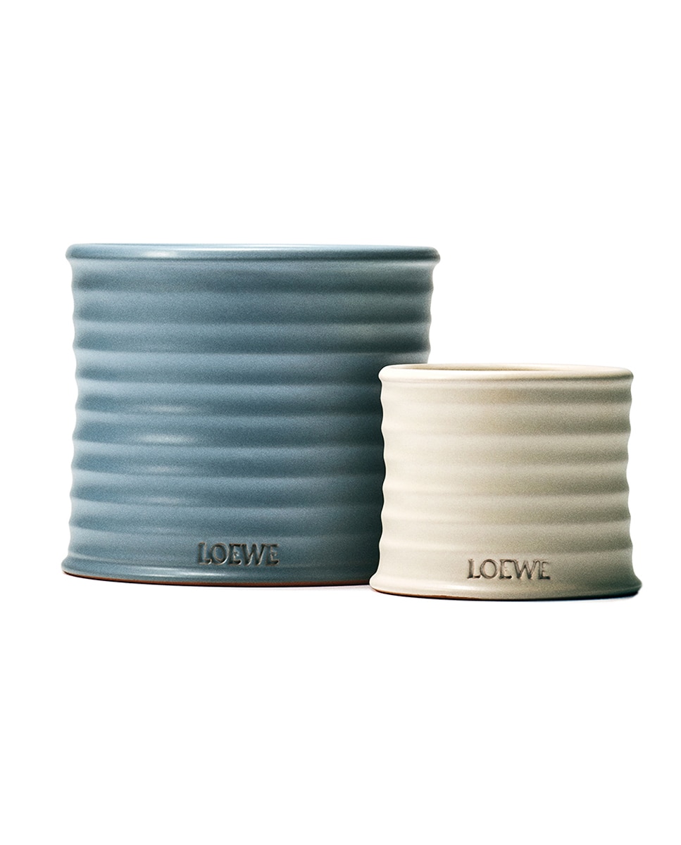 Vela aromática Home Scents Oregano Loewe - 170 g 4