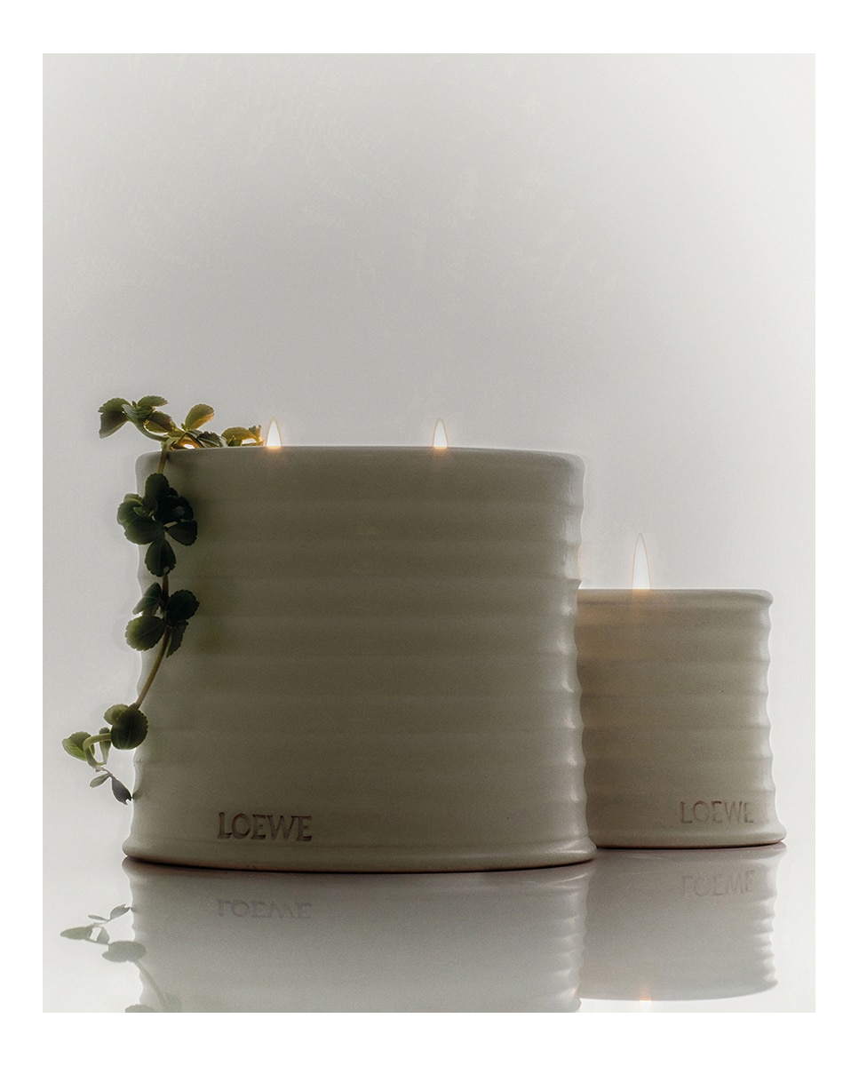 Vela aromática Home Scents Oregano Loewe - 170 g 5