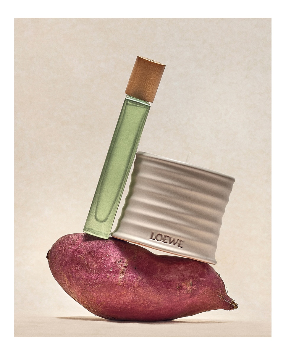 Vela aromática Home Scents Oregano Loewe - 170 g 7