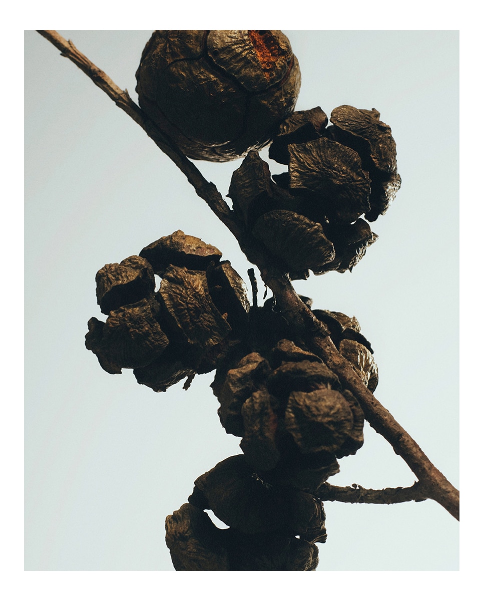 Vela Aromática Cypress Balls Loewe - 170 g 3