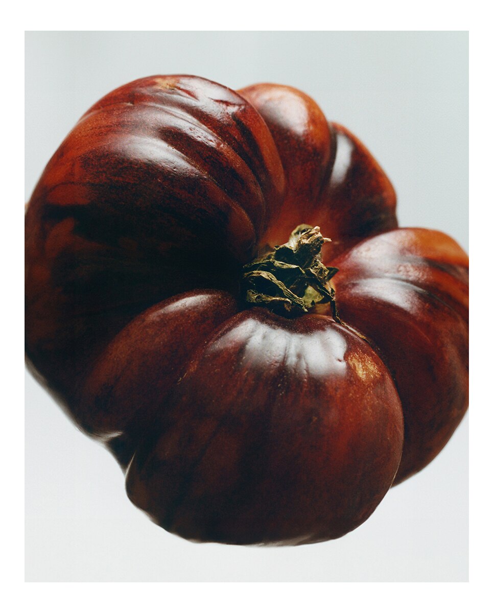 Candelabro Tomato Leaves Loewe 3