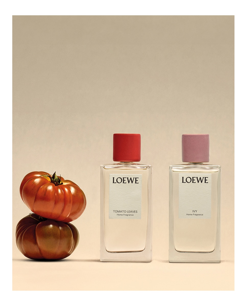 Perfume para el hogar Tomato Leaves Loewe - 150 ml 4