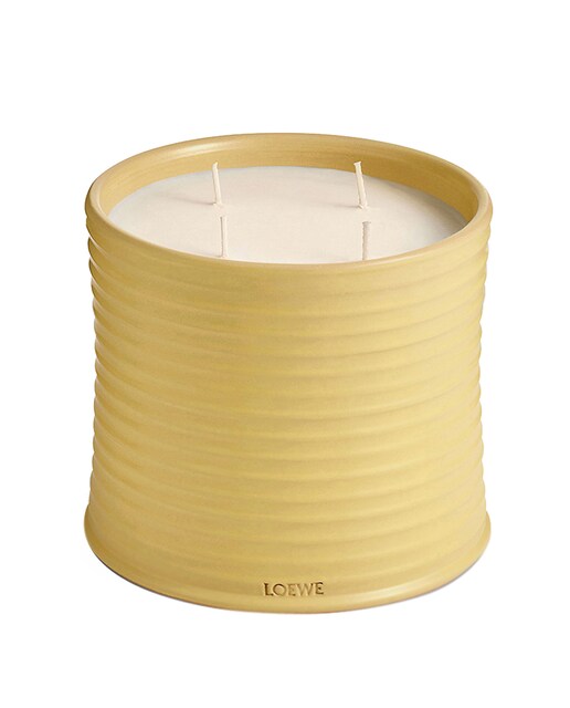 Vela Aromática Honeysuckle Loewe