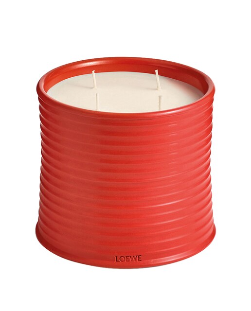 Imagen 0 de Vela Aromática Tomato Leaves Grande Loewe