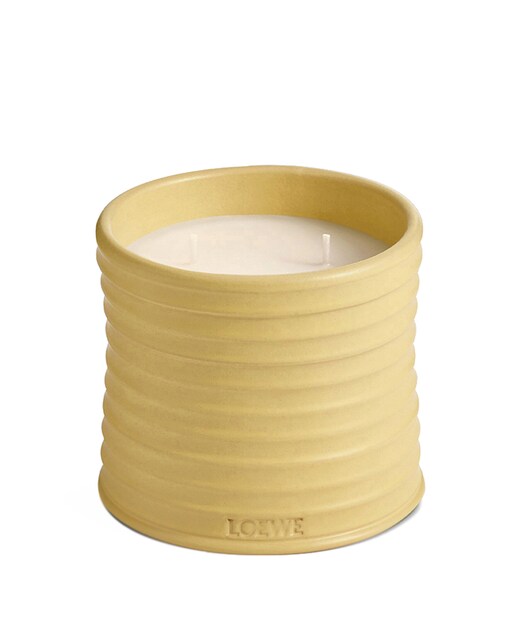 Vela Aromática Honeysuckle Mediana Loewe