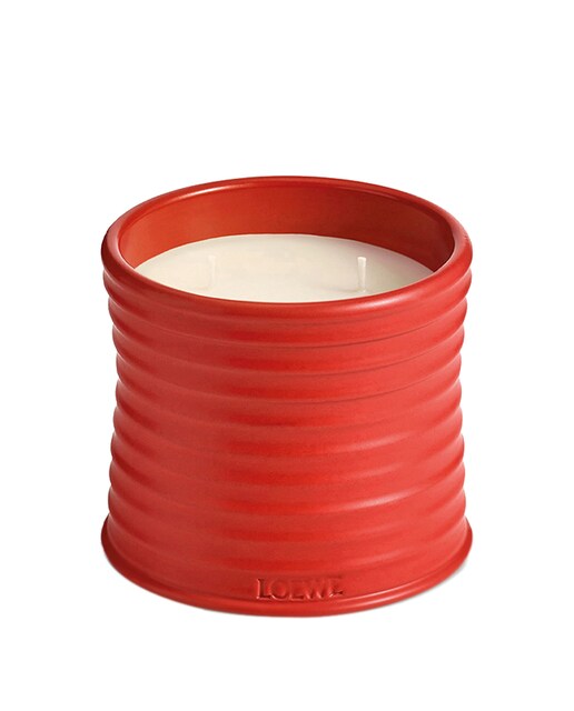 Imagen 0 de Vela Aromática Tomato Leaves Mediana Loewe