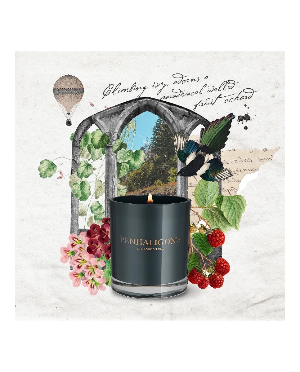 Vela Aromática Roanoke Ivy Penhaligon's - Internet 200 g Internet-4