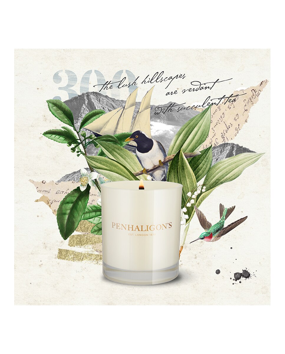 Vela Aromática Ceylon Pekoe Penhaligon's - Internet 200 g Internet-4