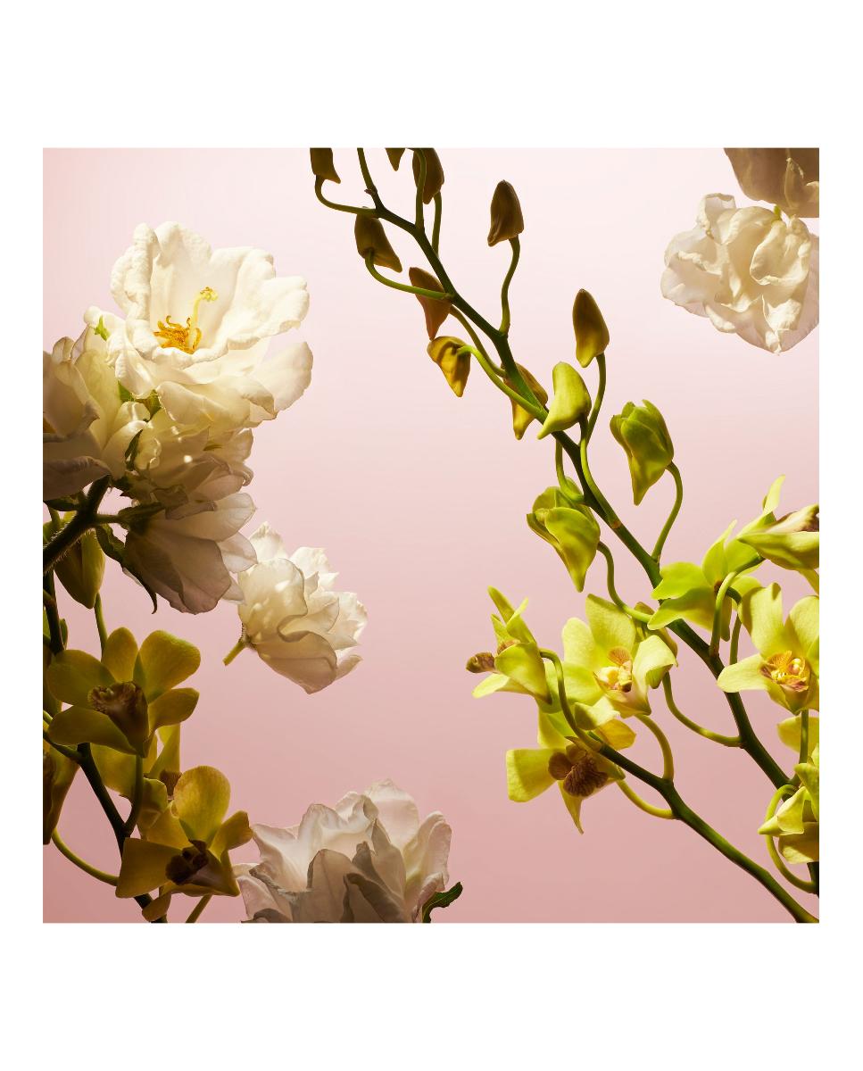 Eau De Parfum Fleurs De L'Himalaya 50 ml Rituals - 50 ml 4