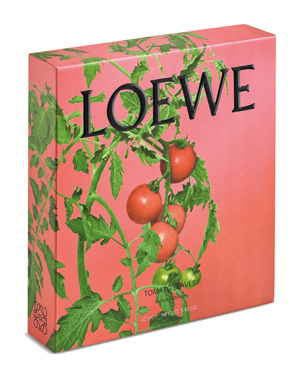 Estuche de regalo Incienso Tomato Leaves Loewe - Verde Verde-7