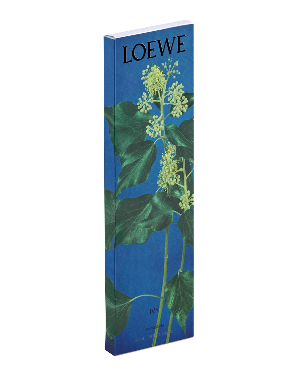 Imagen 3 de Refill Varillas Incienso Ivy Loewe - Floral Floral
