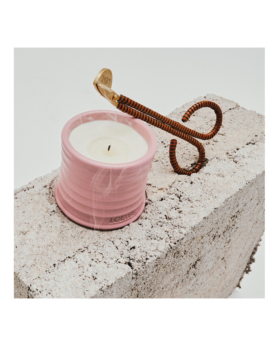 Cortamechas Wick Trimmer Loewe 7