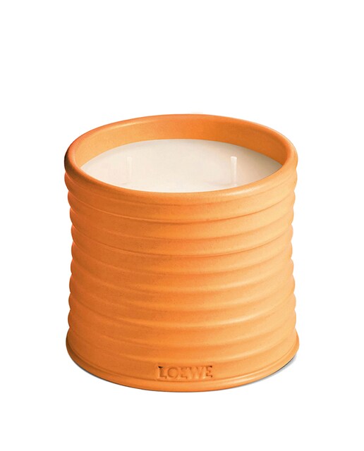 Imagen 0 de Vela Aromática Orange Blossom Loewe