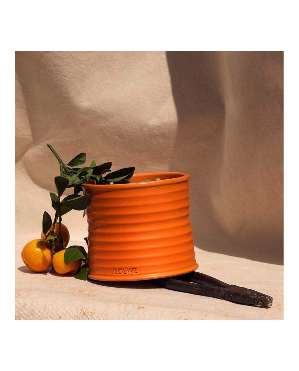 Vela Aromática Orange Blossom Loewe - 150 g 6