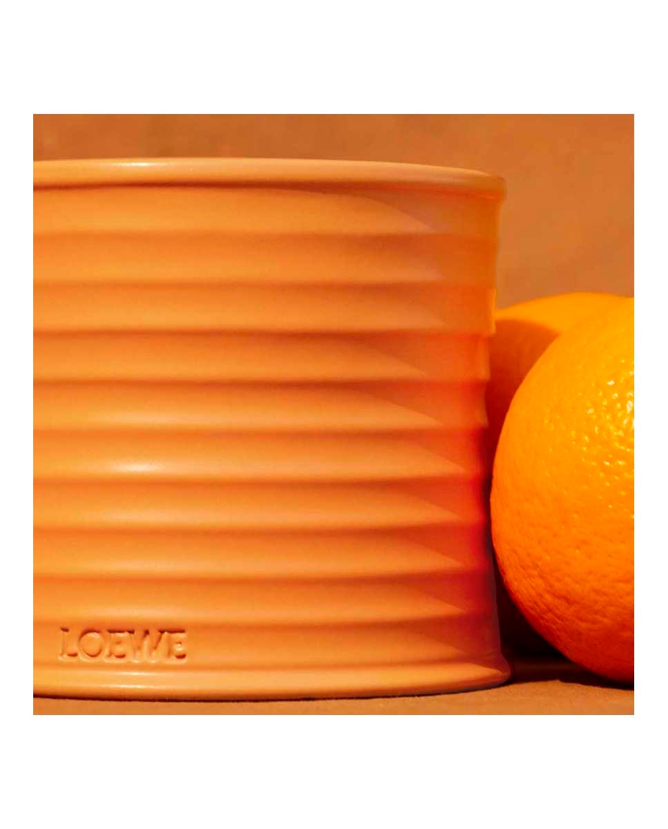 Vela Aromática Orange Blossom Loewe - 150 g 7