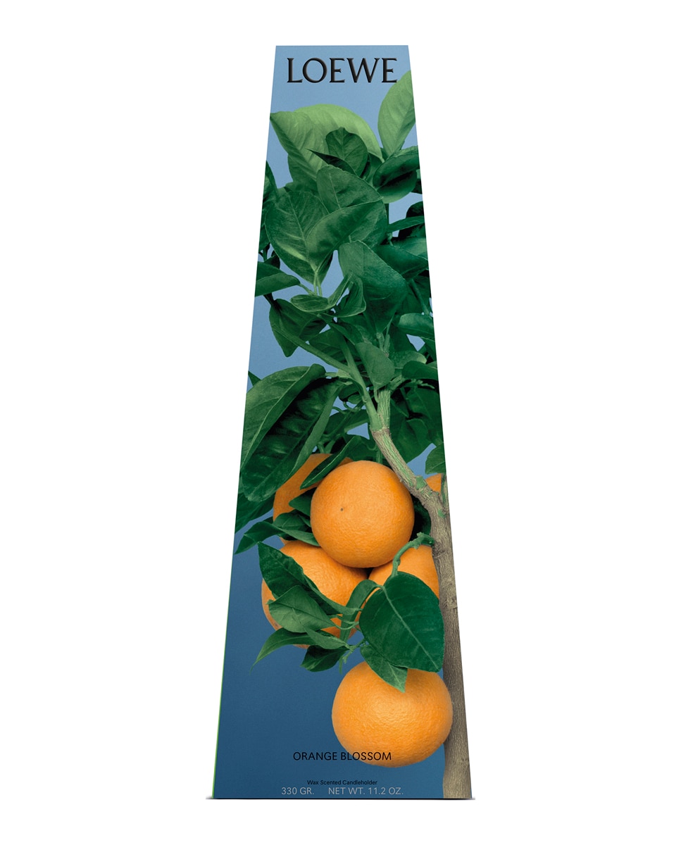 Candelabro Orange Blossom Loewe 4