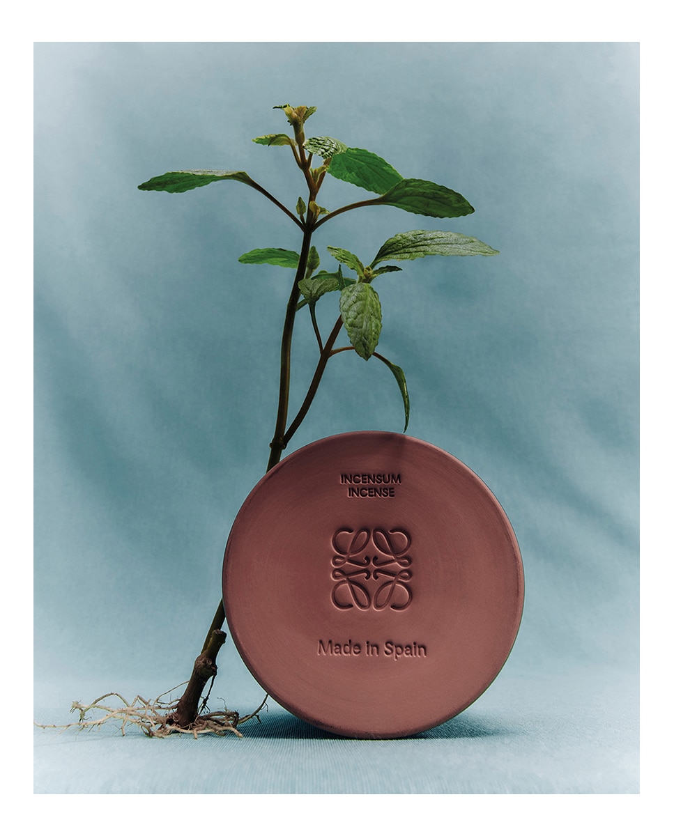 Vela Aromática Incense Loewe - S 3