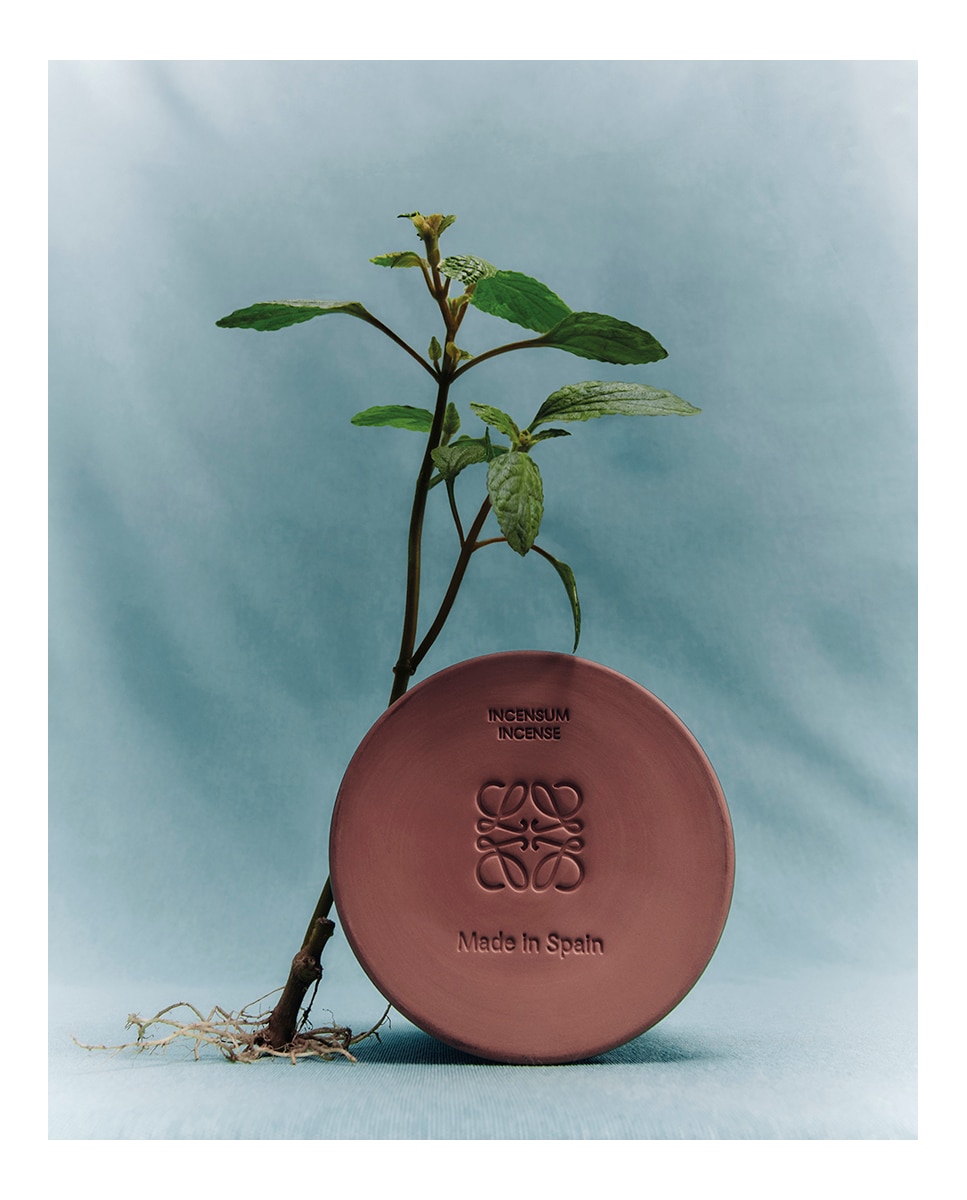 Vela Aromática Incense Loewe - S 8