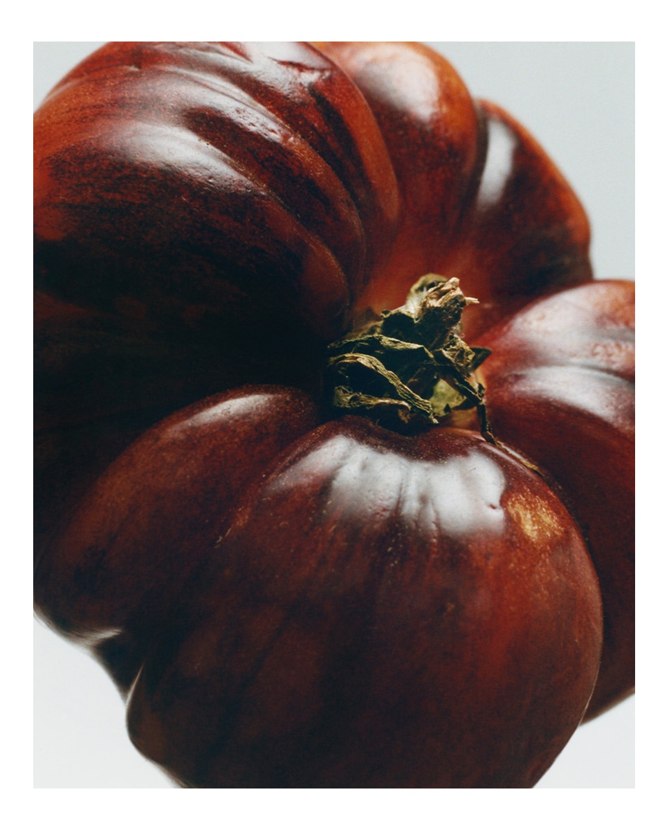 Imagen 7 de Set de 2 jabones sólidos Tomato Scented Loewe - 250 g