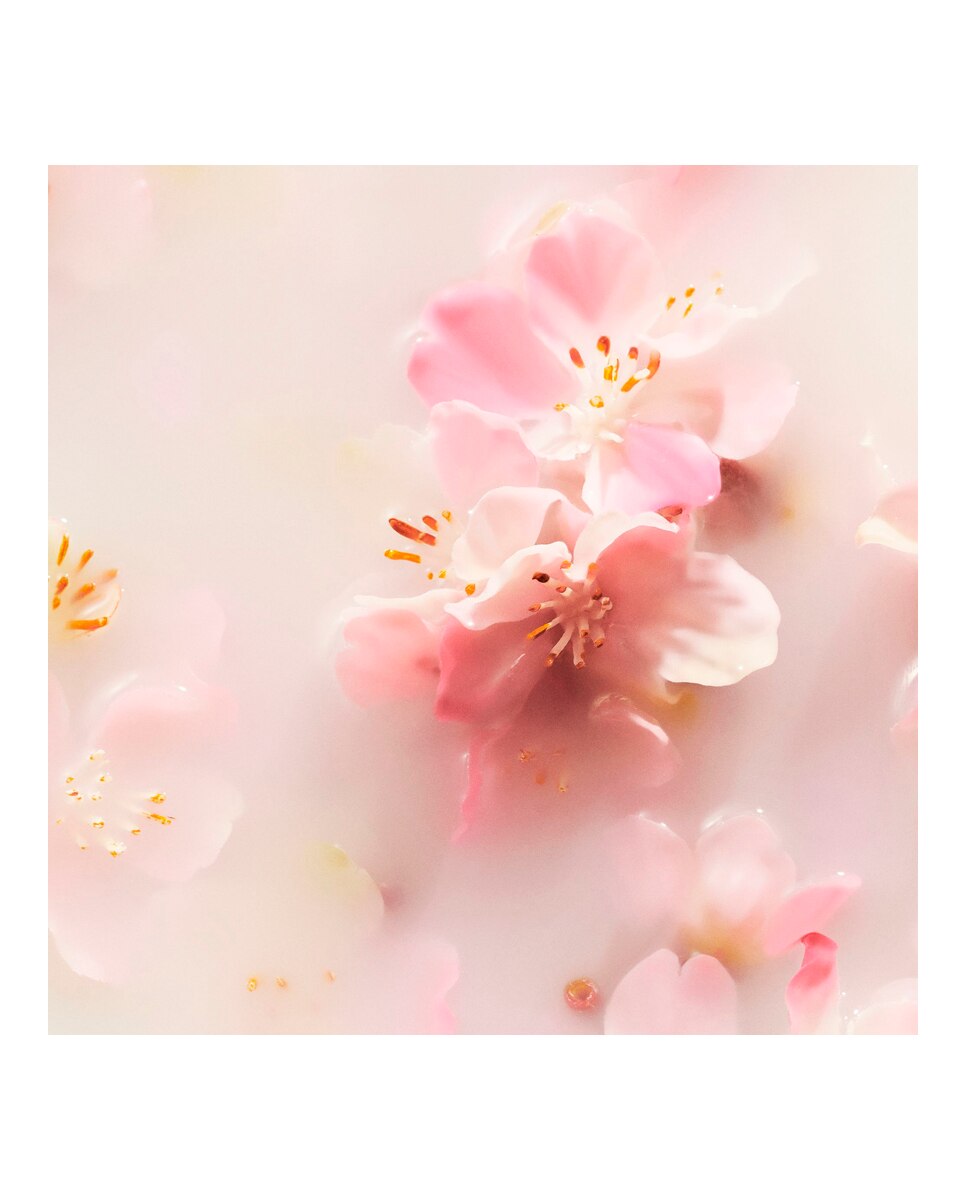 Ambientador para coche The Ritual of Sakura Air Freshener 2 x 3 g Rituals 3