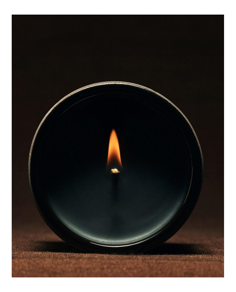 Vel Aromática Dendrochilum Magnum Orchid Pequeña Loewe · LOEWE