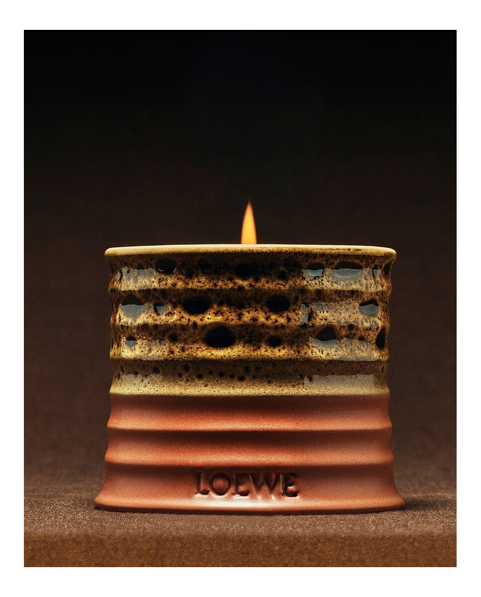 Vel Aromática Mimosa Scented Pequeña Loewe - 384 g 6