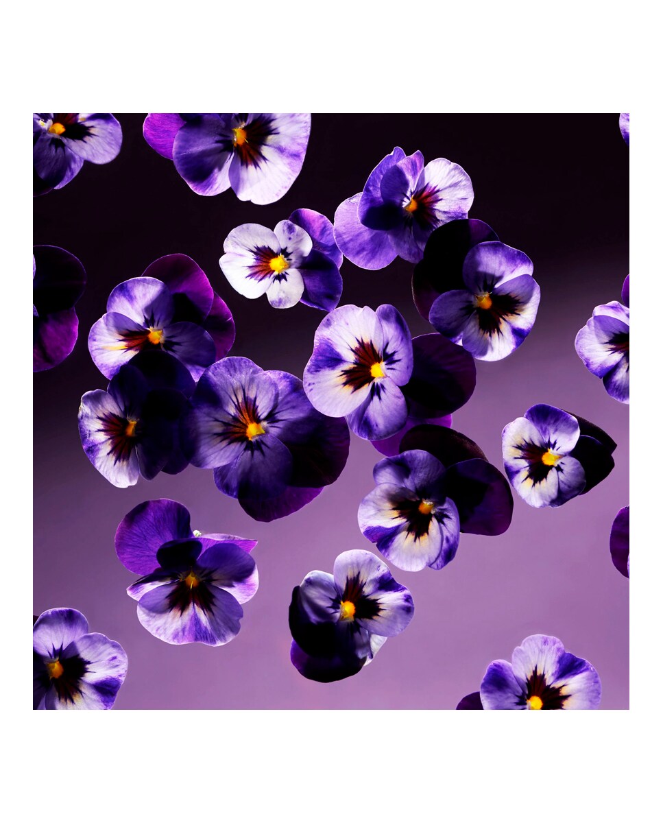 Palitos de Fragancia Smooth Violet Refill Fragrance Sticks 900 ml Rituals 2