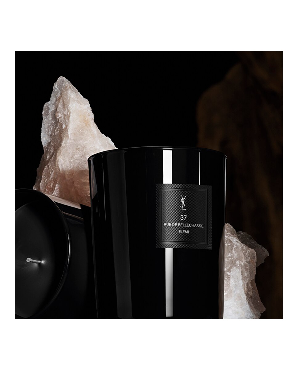 Vela 37 Rue De Bellechasse  Le Vestiaire des Parfums  Yves Saint Laurent 2