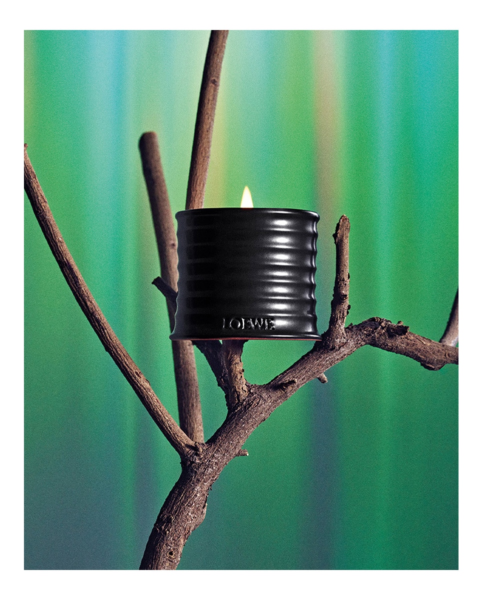 Vela Pequeña Palo Santo Loewe - 380 g 4